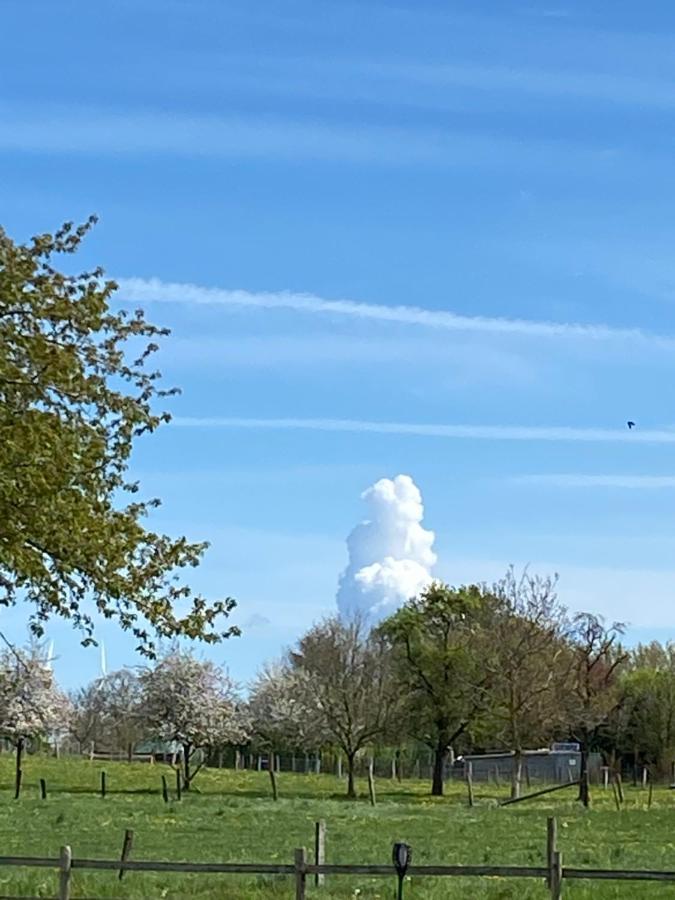 Ferienwohnungen Bueffel Heimbach Buitenkant foto